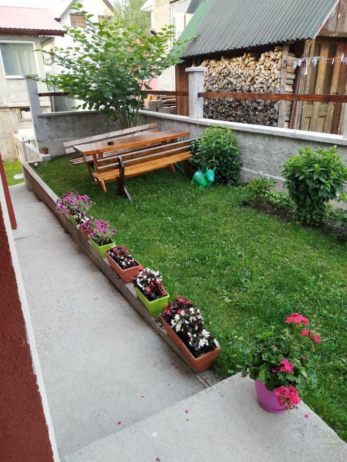 Apartments Bozovic Žabljak Dış mekan fotoğraf