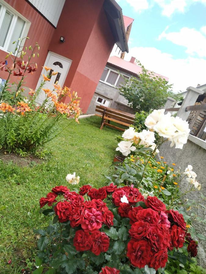 Apartments Bozovic Žabljak Dış mekan fotoğraf