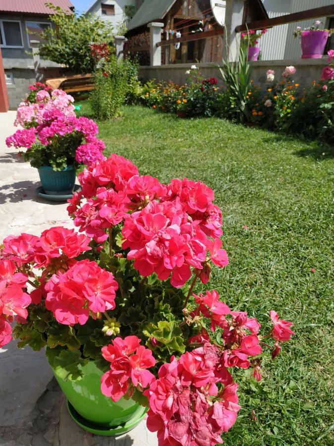 Apartments Bozovic Žabljak Dış mekan fotoğraf